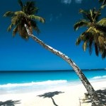 Isole Seychelles: un paradiso!