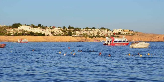Egitto: i perchè del mar Rosso