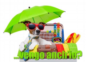 Vacanze in estate con il cane?