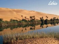Un'oasi nel deserto in Libia