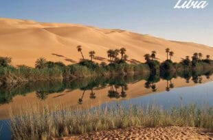 Un'oasi nel deserto in Libia