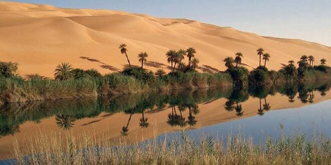 Un'oasi nel deserto in Libia