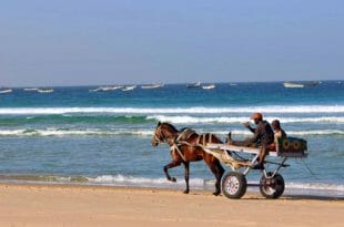 Senegal: spiagge, mare e parchi naturali