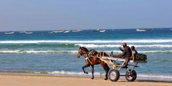 Senegal: spiagge, mare e parchi naturali
