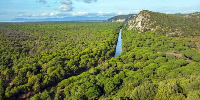 Parco dell'Uccellina: informazioni ed itinerari