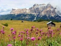 In montagna per la prima volta