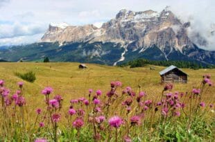 In montagna per la prima volta