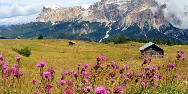 In montagna per la prima volta