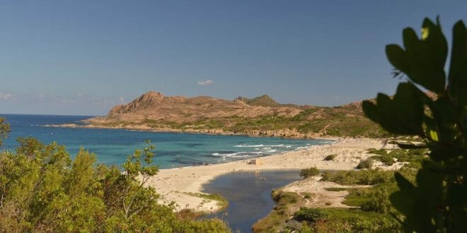 Corsica spiagge e campeggi