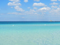 Guida estate a Torre Mozza nel Salento