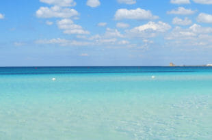 Guida estate a Torre Mozza nel Salento