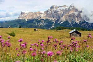 Consigli Montagna Estate