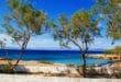 Isole Saroniche, guida estate