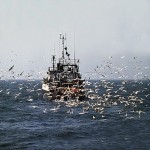 pescaturismo Pescaturismo